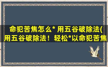 命犯苦焦怎么* 用五谷破除法(用五谷破除法！轻松*以命犯苦焦困扰)